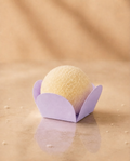Lavanda
