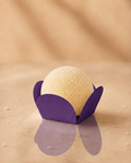 Roxo Escuro