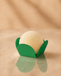Verde Bandeira