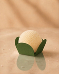 Verde Oliva